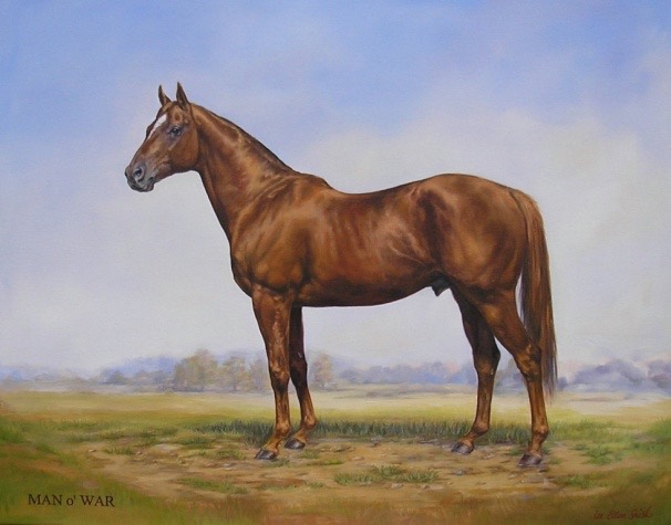 C:\Users\user\Desktop\TheThoroughbred\Man o' War\man o' war IMG_5018.JPG
