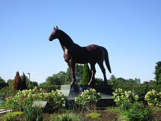 Image result for man o' war horse