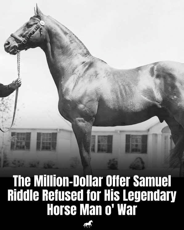 A person holding a horse

AI-generated content may be incorrect.