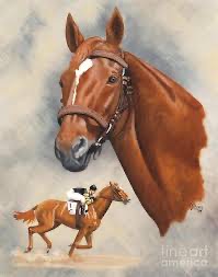 Image result for man o' war horse