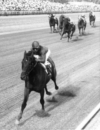 C:\Users\user\Desktop\Dr. Fager\IMG_6018.JPG