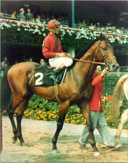 C:\Users\user\Desktop\Dr. Fager\IMG_5902.JPG