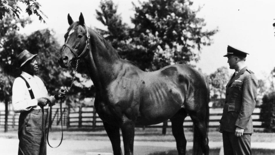 Man o' War is regarded as one of the greatest Thoroughbreds of all time. 