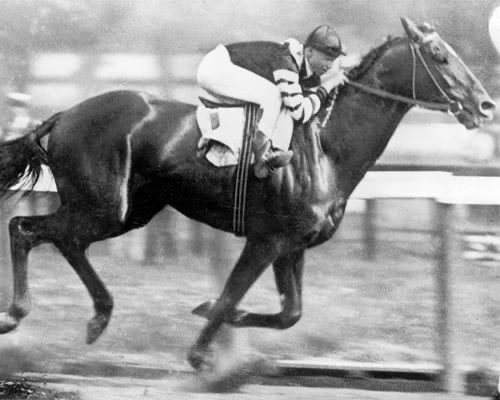 Man o War racehorse winning the Belmont Stakes by a wide margin in 1920