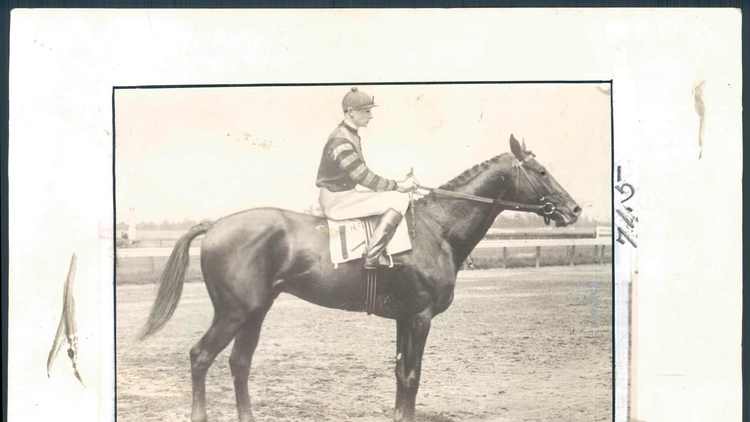 Man o War racehorse photograph showing his powerful chestnut build and imposing physical presence