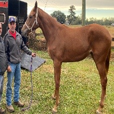 A person standing next to a horse

AI-generated content may be incorrect.