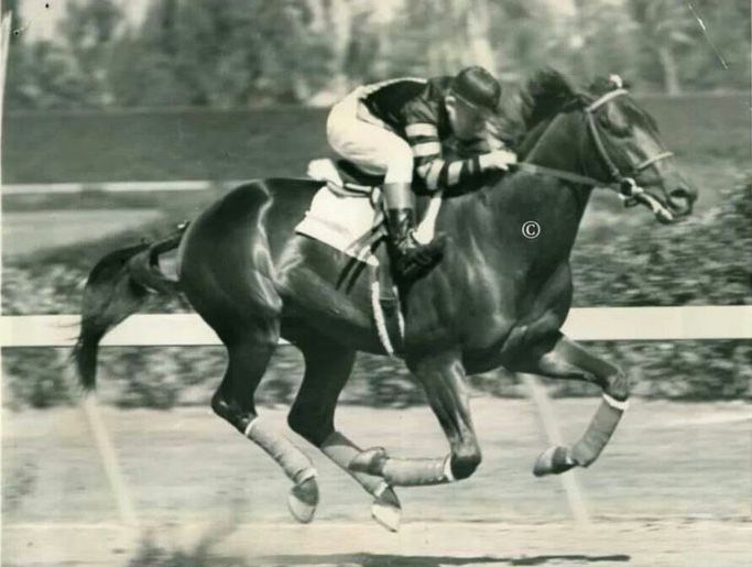 C:\Users\user\Desktop\e5b08cee8bae3aa78de7c7f9dda53ac2--race-horses-horse-racing.jpg